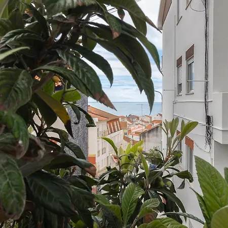 Lejlighed Figueiras *